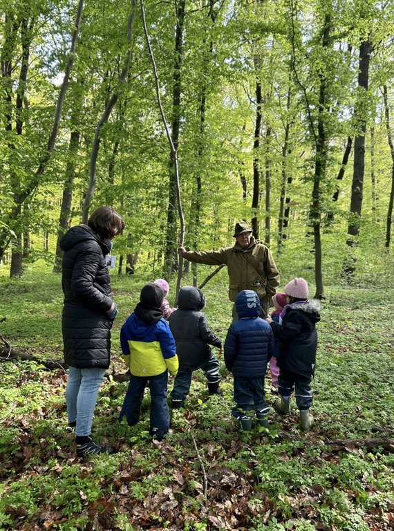 Ein Erwachsener erklärt einer Gruppe von Kindern im Wald etwas und zeigt dabei gestikulierend auf den Boden. Umgeben sind sie von hohen, grünen Bäumen.