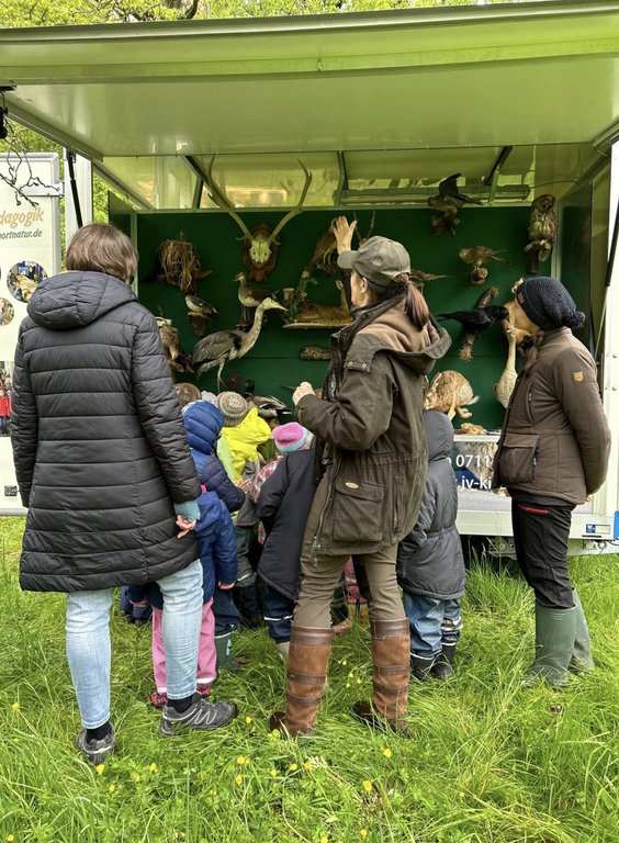 Ein geschlossener Anhänger zeigt ausgestopfte Tiere; eine Gruppe von Kindern und Erwachsenen betrachtet sie. Der Anhänger steht im Freien auf einer Wiese. Text: "pädagogik aktiv-kids.com".