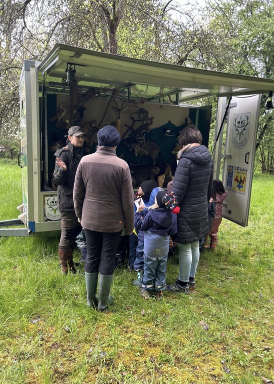 Ein mobiler Anhänger zeigt ausgestopfte Tiere. Eine Person erklärt einer Gruppe von Kindern Details. Draußen steht der Anhänger auf einer grünen Wiese, umgeben von Bäumen. Auf der Tür ist ein Logo mit "20 Jahre" sichtbar.