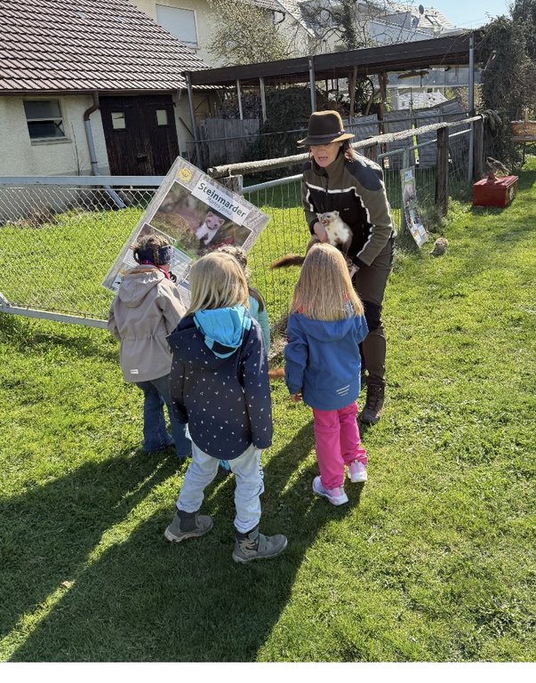 Eine Frau hält ein Tier, während vier Kinder interessiert zuschauen. Im Hintergrund ist eine Tafel mit der Aufschrift "Steinmarder". Sie befinden sich in einem grünen Außenbereich.