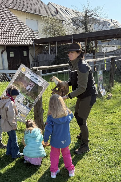 Eine Frau hält ein Tierpräparat, während Kinder es betrachten. Umgebung mit Zaun, Haus im Hintergrund und Infotafel mit "Steinmarder" darauf. Grüne Wiese umgibt die Szene.