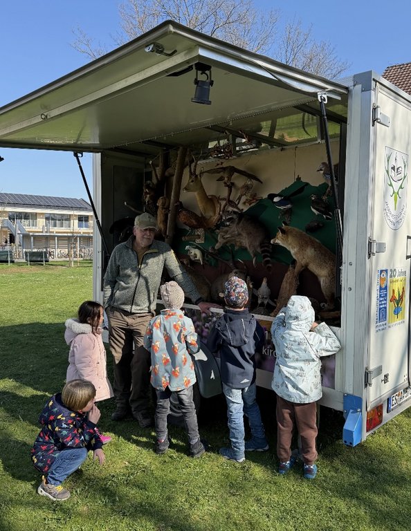 Ein Mann erklärt ausgestopfte Waldtiere in einem offenen Anhänger. Fünf Kinder hören aufmerksam zu. Hintergrund: Schulgebäude, sonniger Tag. Text: "20 Jahre", "Kreisjägerverband Rendsburg".