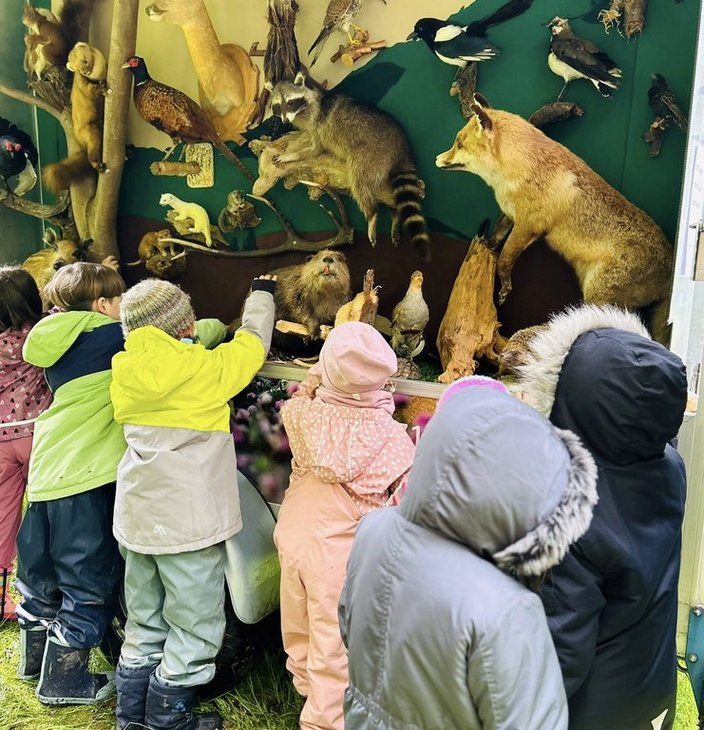 Kinder betrachten ausgestopfte Tiere in einer Ausstellung; sie tragen warme, bunte Kleidung. Die Tiere, darunter ein Fuchs und ein Waschbär, sind in einer Waldlandschaft präsentiert.