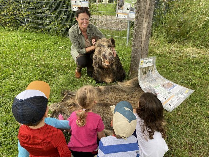 Frau kniet neben ausgestopftem Wildschwein, erklärt Kindern auf einer Wiese etwas. Im Hintergrund stehen Schautafeln mit Informationen über "Wildschweine". Ein Wildschwein-Pelz liegt auf dem Gras.